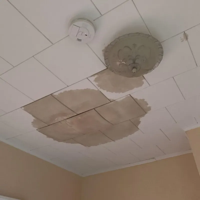 Ceiling Water Damage Repair in Falmouth Foreside, ME
