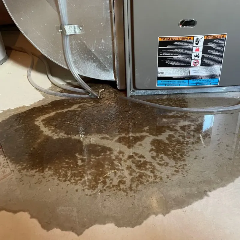 Pipe Burst and Leak Restoration in Falmouth Foreside, ME