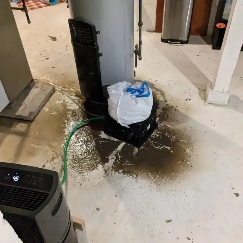 Sewage Backup Cleanup Service in Falmouth Foreside, ME